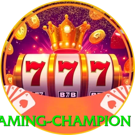 23wz Gaming Champion - vip