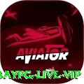 baypg Live VIP